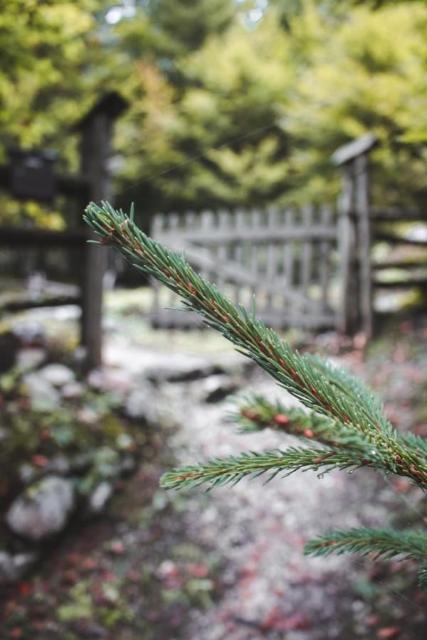 Cottage Trenta 보베츠 외부 사진